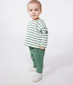 Petit Bateau Pullover, Cardigans*Baby-Matrosenoberteil aus dicker Baumwolle grün MARSHMALLOW/ PALMERAIE