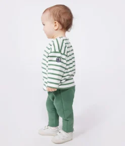 Petit Bateau Pullover, Cardigans*Baby-Matrosenoberteil aus dicker Baumwolle grün MARSHMALLOW/ PALMERAIE