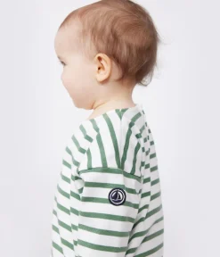 Petit Bateau Pullover, Cardigans*Baby-Matrosenoberteil aus dicker Baumwolle grün MARSHMALLOW/ PALMERAIE