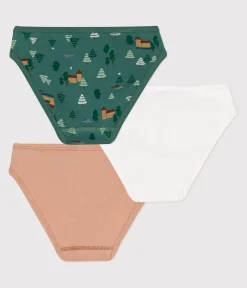 Petit Bateau Unterhosen, Shortys*3er-Set Baumwollslips für Kinder variante 4