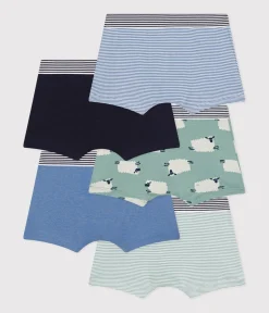 Petit Bateau Unterhosen, Boxershorts*5er-Set Kinder-Boxershorts aus Baumwolle mit Schafmotiv variante 1