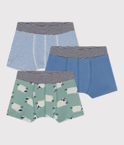 Petit Bateau Unterhosen, Boxershorts*3er-Set Kinder-Boxershorts aus Baumwolle mit Schafmotiv variante 1