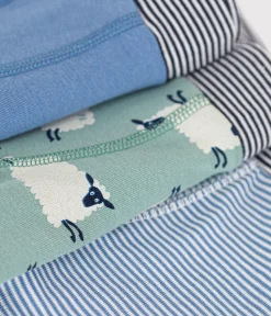 Petit Bateau Unterhosen, Boxershorts*3er-Set Kinder-Boxershorts aus Baumwolle mit Schafmotiv variante 1