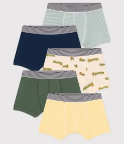 Petit Bateau Unterhosen, Boxershorts*5er-Set Kinder-Boxershorts mit Tausendfüßler-Motiv aus Baumwolle variante 1