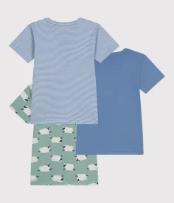 Petit Bateau Unterhemden, Tanktops|T-Shirts, Poloshirts, Hemden*3er-Set kurzärmelige Kinder-T-Shirts aus Baumwolle mit Schafmotiv variante 1