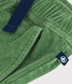 Petit Bateau Shorts, Jeans, Hosen*Kinder-Hose mit geradem Schnitt aus Fein-Cord für Jungen grün PALMERAIE