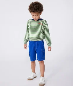 Petit Bateau Sweatshirts, Pullover, Cardigans|Sweatshirts, Pullover, Cardigans*Kinder-Pullover aus Baumwolle mit Streifen grün PALMERAIE/ AVALANCHE