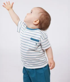 Petit Bateau T-Shirts, Oberteile*Kurzärmeliges Baby-T-Shirt aus Baumwolle mit Streifen grün MARSHMALLOW/ DRAGONFLY