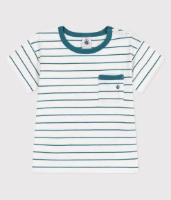 Petit Bateau T-Shirts, Oberteile*Kurzärmeliges Baby-T-Shirt aus Baumwolle mit Streifen grün MARSHMALLOW/ DRAGONFLY