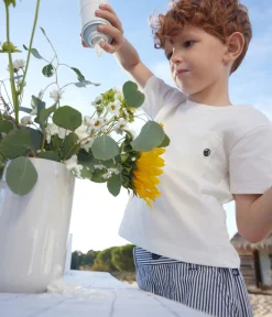 Petit Bateau T-Shirts, Poloshirts, Hemden|T-Shirts, Tops, Oberteile*Kurzärmeliges T-Shirt für Jungen weiss MARSHMALLOW