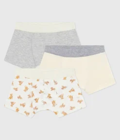 Petit Bateau Unterhosen, Boxershorts*Set Kinder-Boxershorts aus Baumwolle mit überzogenem Bund und Leoparden-Motiv variante 1