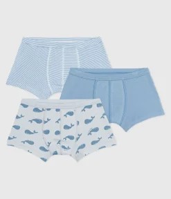 Petit Bateau Unterhosen, Boxershorts*Set Kinder-Boxershorts mit überzogenem Bund aus Baumwolle mit Walmotiv variante 1